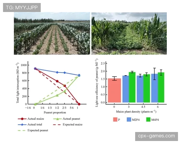 维尔茨与帕尔默：数据型中场的效率与参与度对比分析